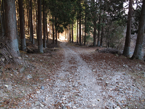 20171207hike (415)